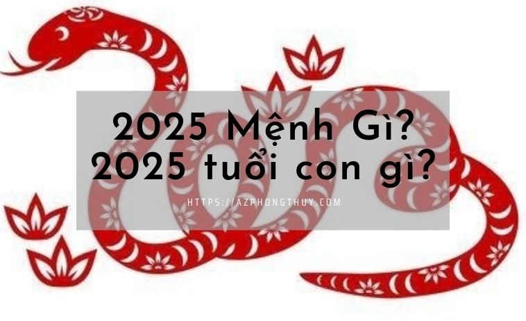 Giải Đáp 2025 Mệnh Gì Có Nên Sinh Con Vào 2025